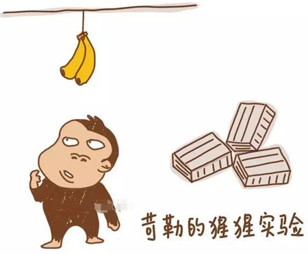 微信图片_20181113100154.jpg