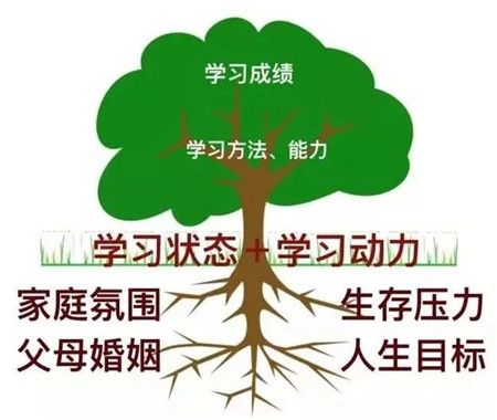 微信图片_20181113100158.jpg
