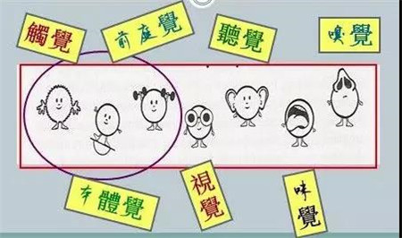 微信图片_20190222094345.jpg