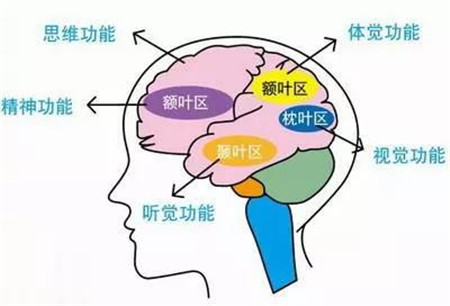 微信图片_20190312164010.jpg