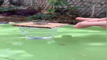 微信图片_20190313135150.gif