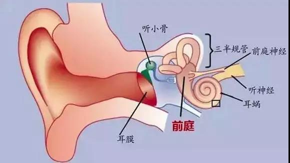 微信图片_20190315151249.jpg