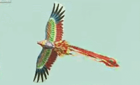微信图片_20190329162407.gif