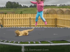 微信图片_20190403104328.gif