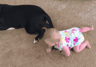 微信图片_20190403104258.gif