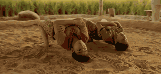 微信图片_20190409093955.gif