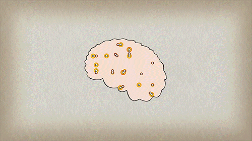 微信图片_20190417174919.gif