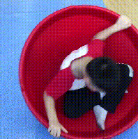 微信图片_20190418170913.gif
