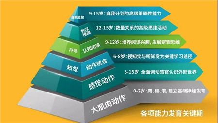 微信图片_20190716100219_副本.jpg
