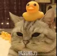 微信图片_20191015144348.jpg