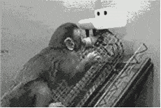 微信图片_20191024145711.gif