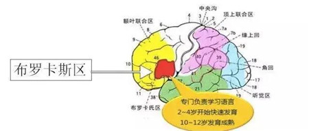 微信图片_20200414140405_副本.jpg