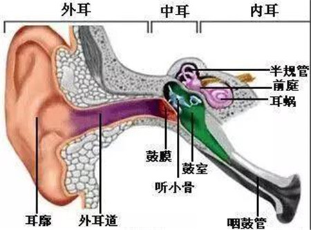 微信图片_20200428142214_副本.jpg