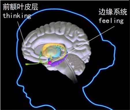微信图片_20200522094810.jpg