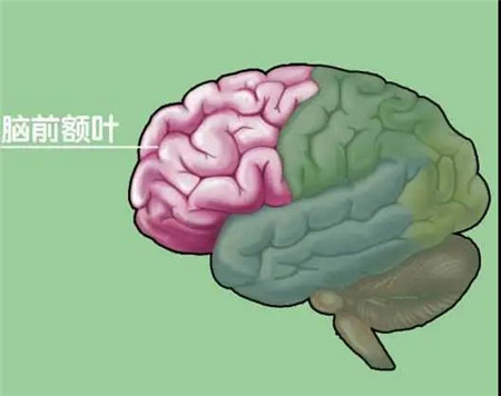 微信图片_20200702110536.jpg