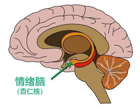 微信图片_20200702110528.png