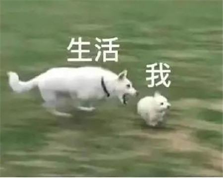 微信图片_20200702114935_副本.jpg