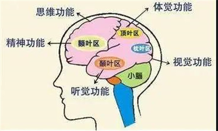 微信图片_20200702133408_副本.jpg