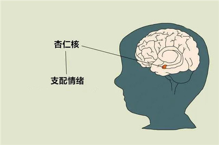微信图片_20200702135340_副本.jpg