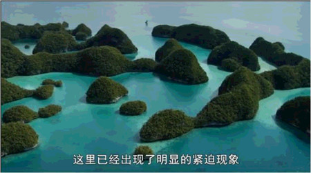微信图片_20200702141140.jpg
