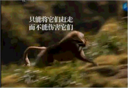 微信图片_20200702141152.jpg