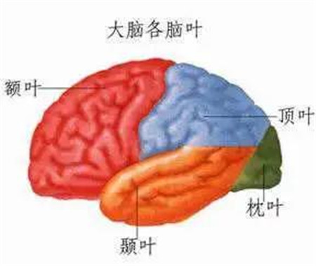 微信图片_20200812143731_副本.jpg