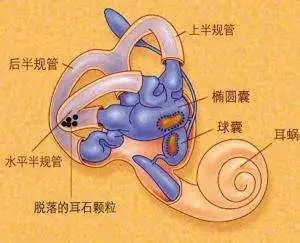 前庭觉