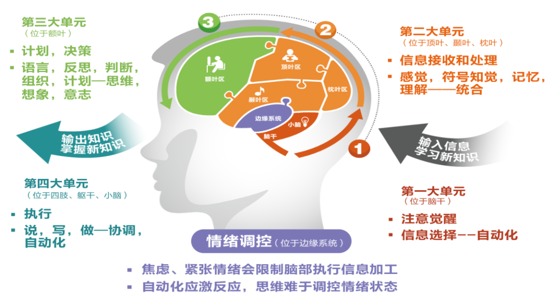 孩子注意力不集中