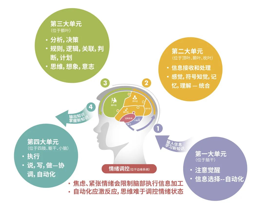 感觉统合失调