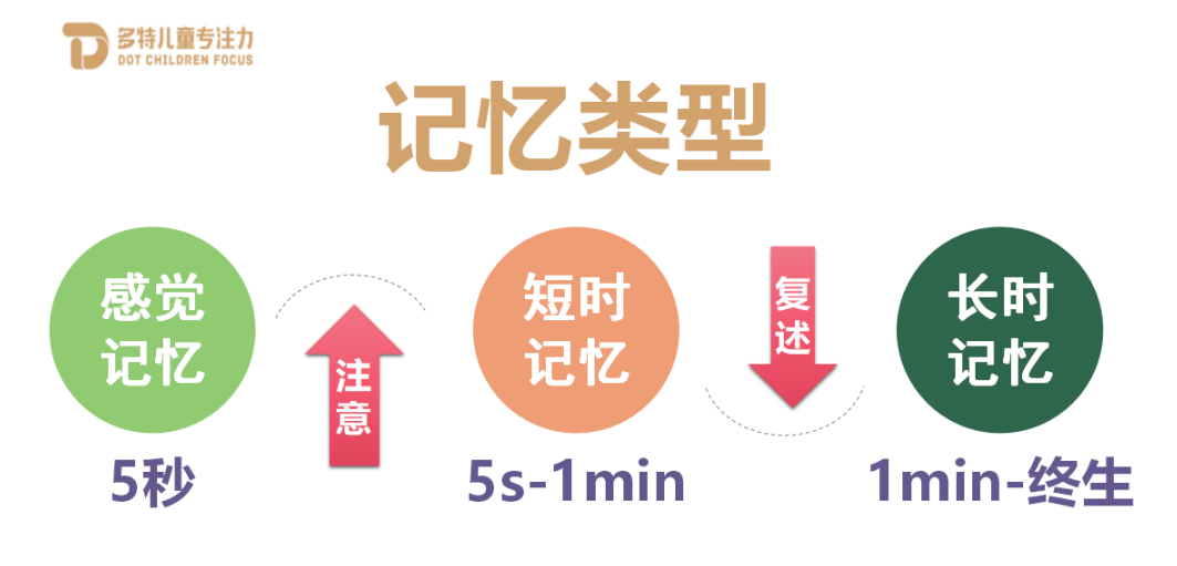 孩子记忆力