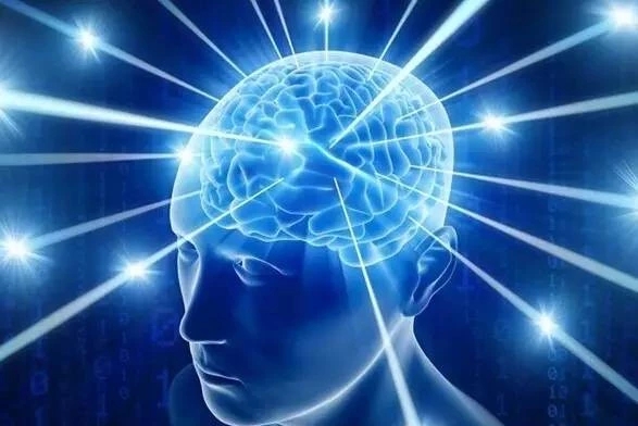 儿童专注力的重要性