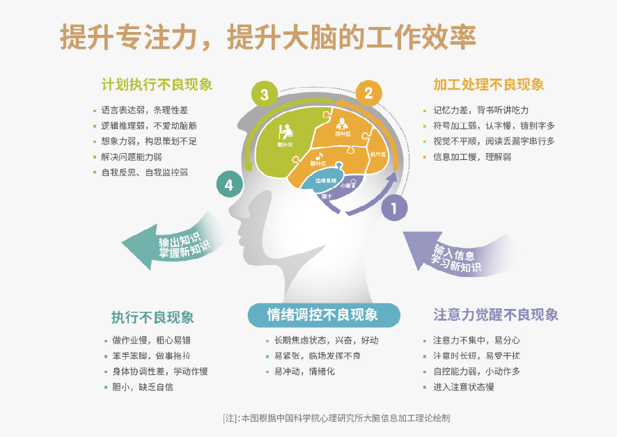 训练孩子智力