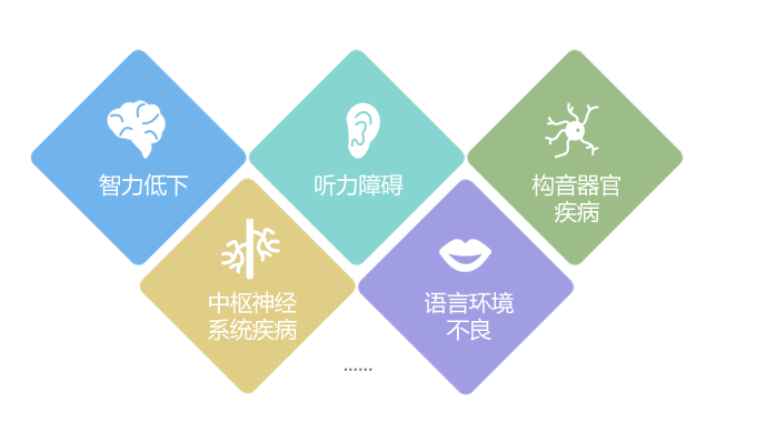 儿童语言发育迟缓的常见原因