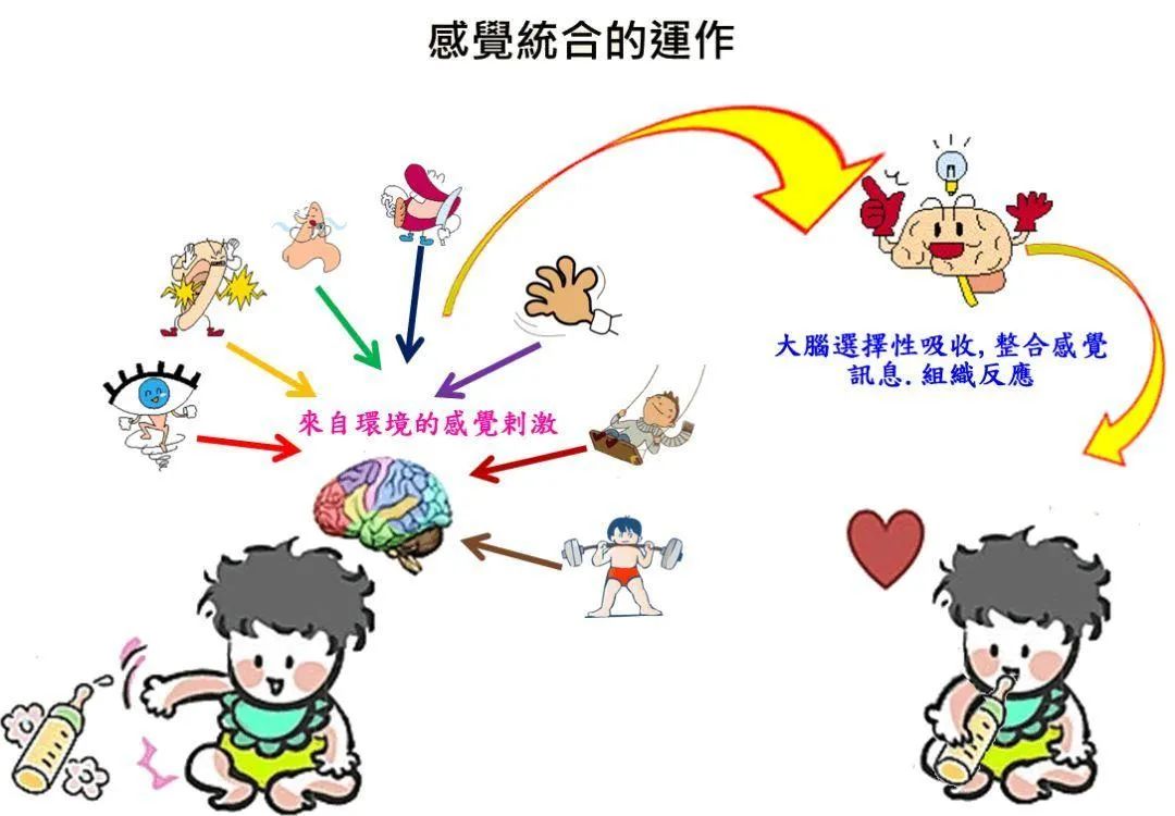 感统概念