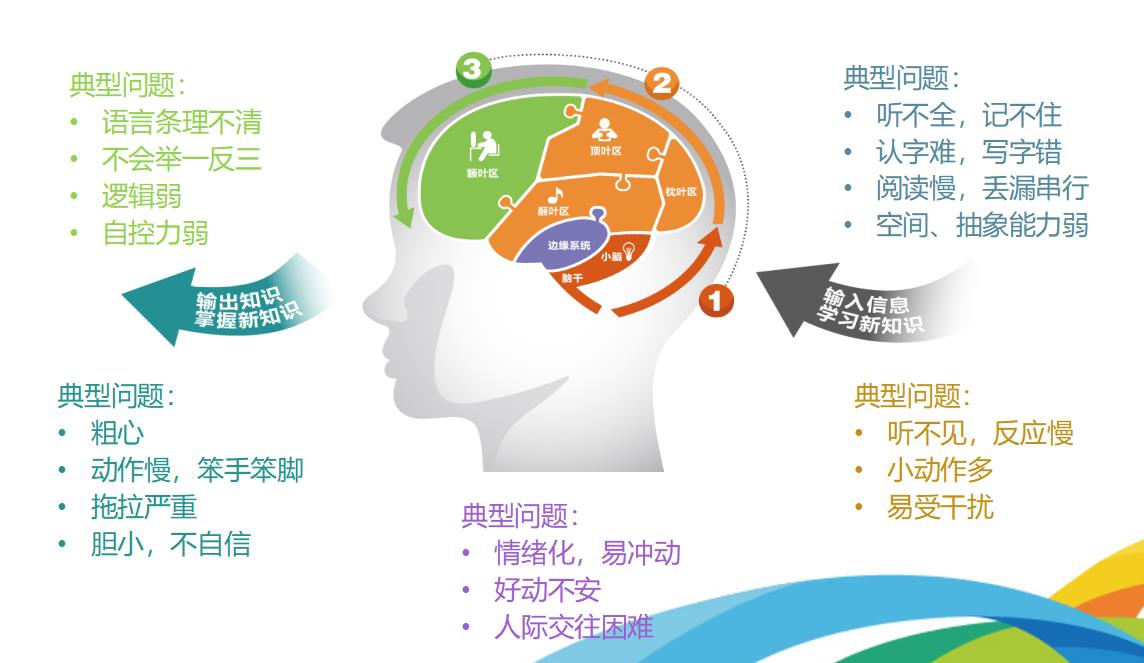 认知能力