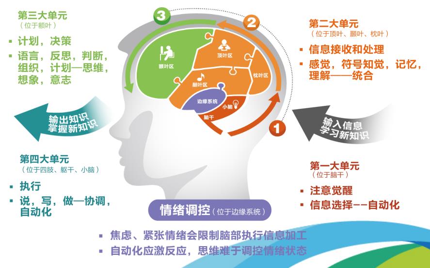 认知能力