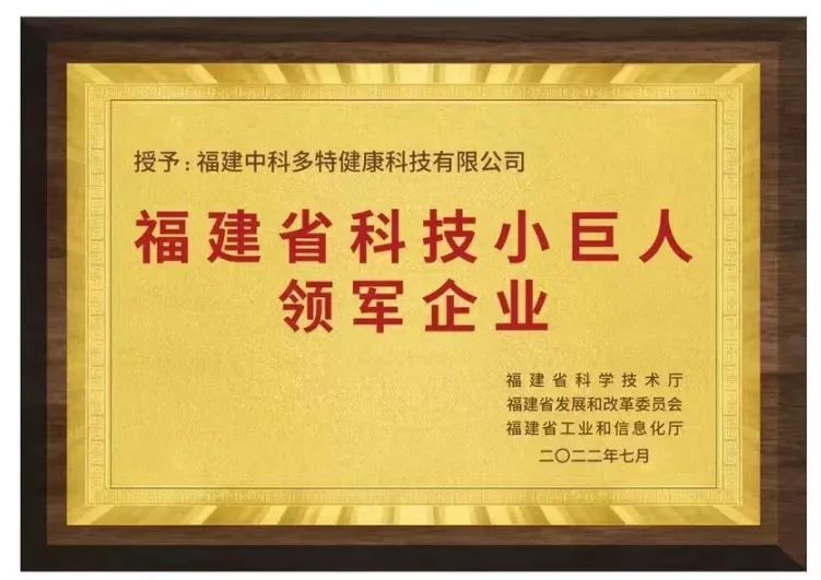 多特儿童专注力