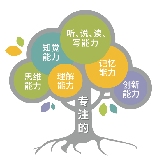 孩子的专注力