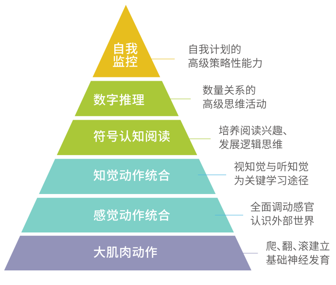 儿童认知能力的发展顺序