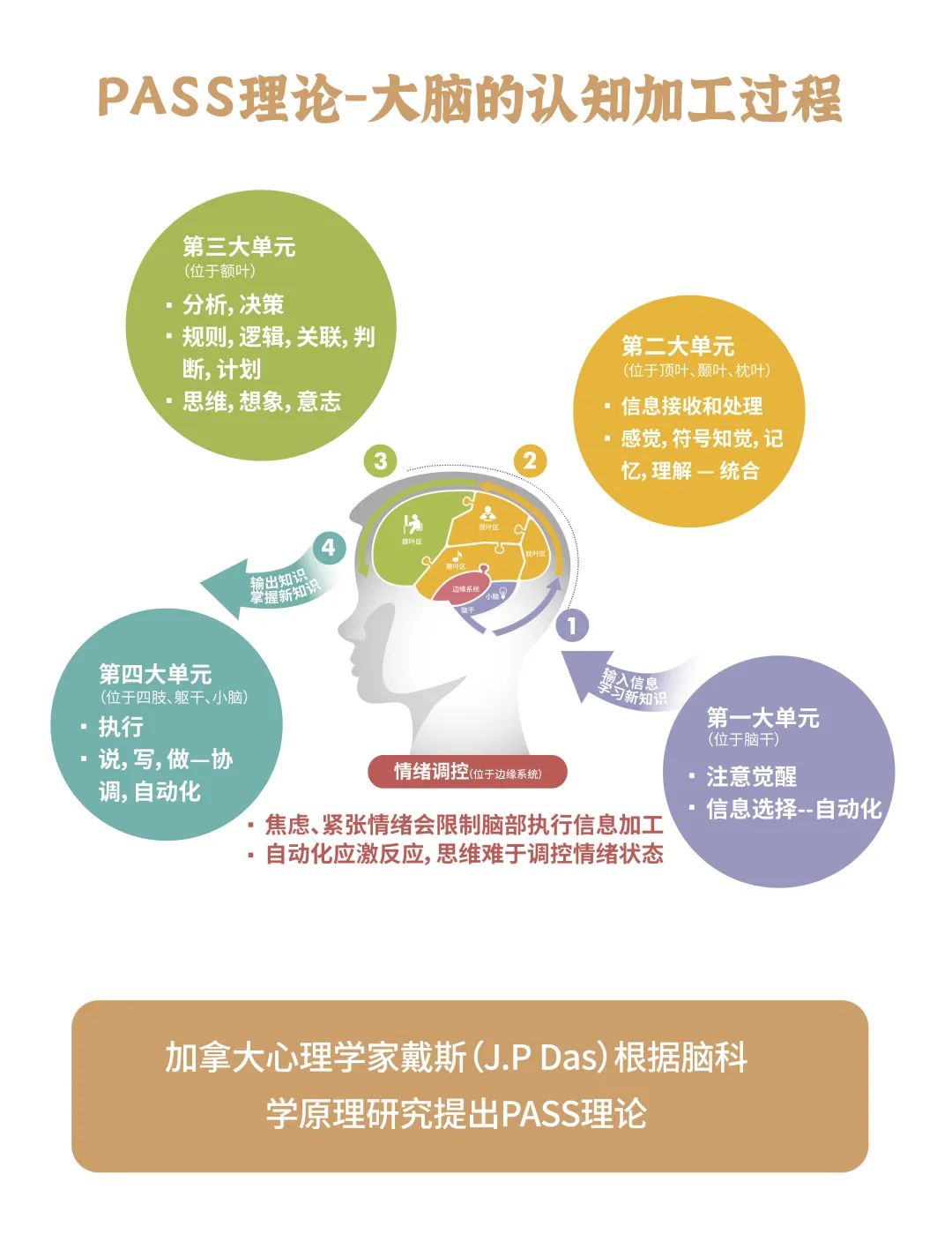 多特儿童专注力