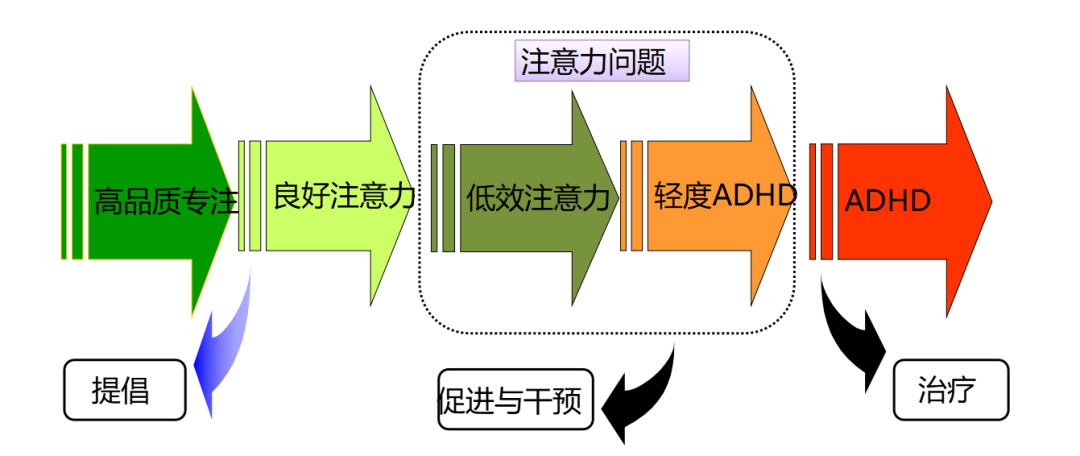 注意力的谱系